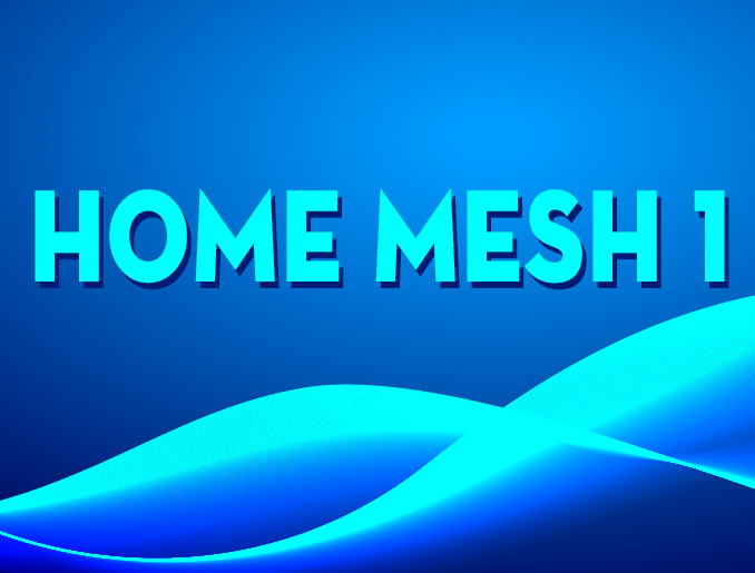 HOME MESH 1